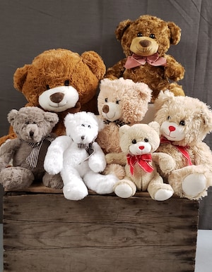 Stuffed Teddy Bear